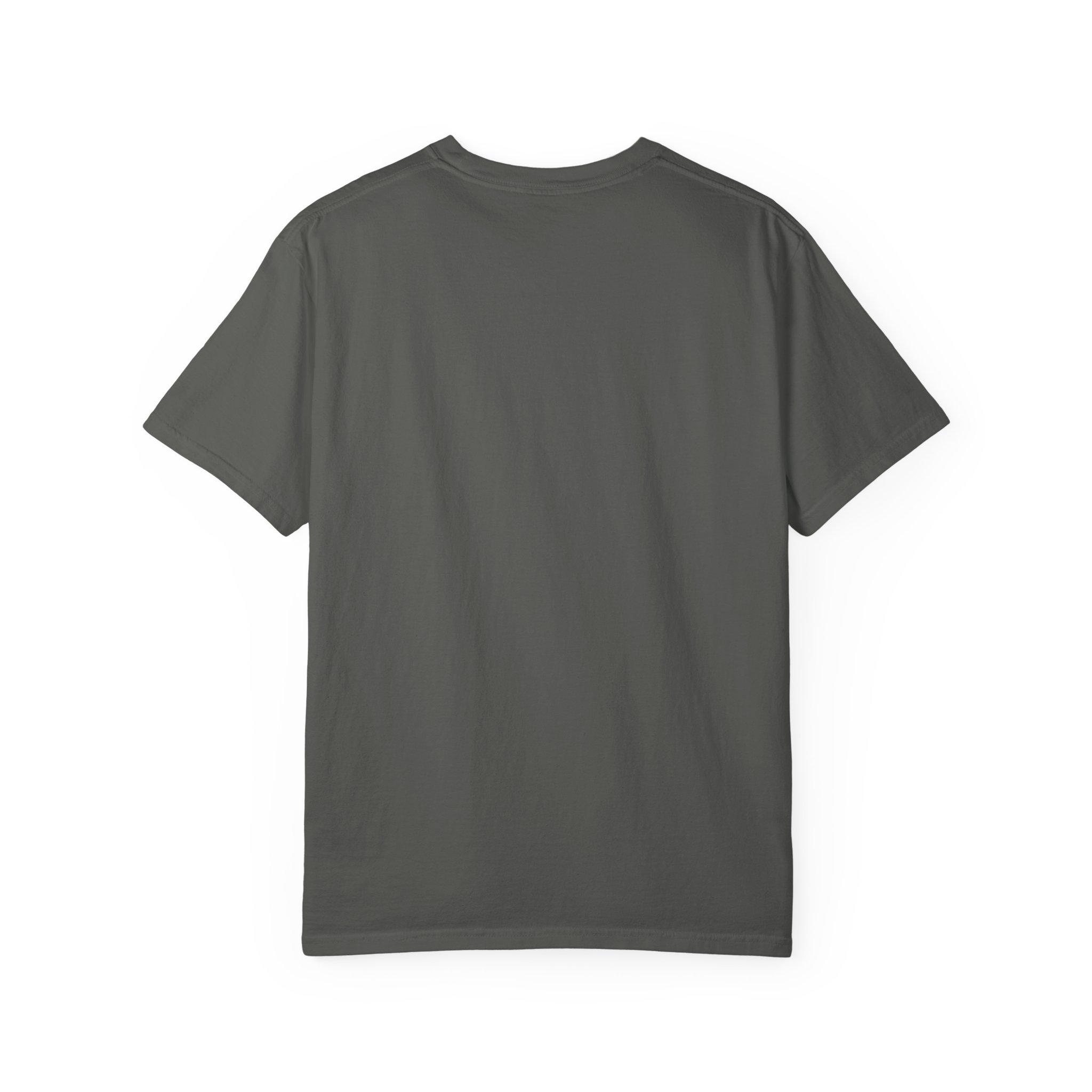 T-Shirt — "No Amount of Evidence Will Ever Persuade an Idiot" Mark Twain Quote Tee - Image 6