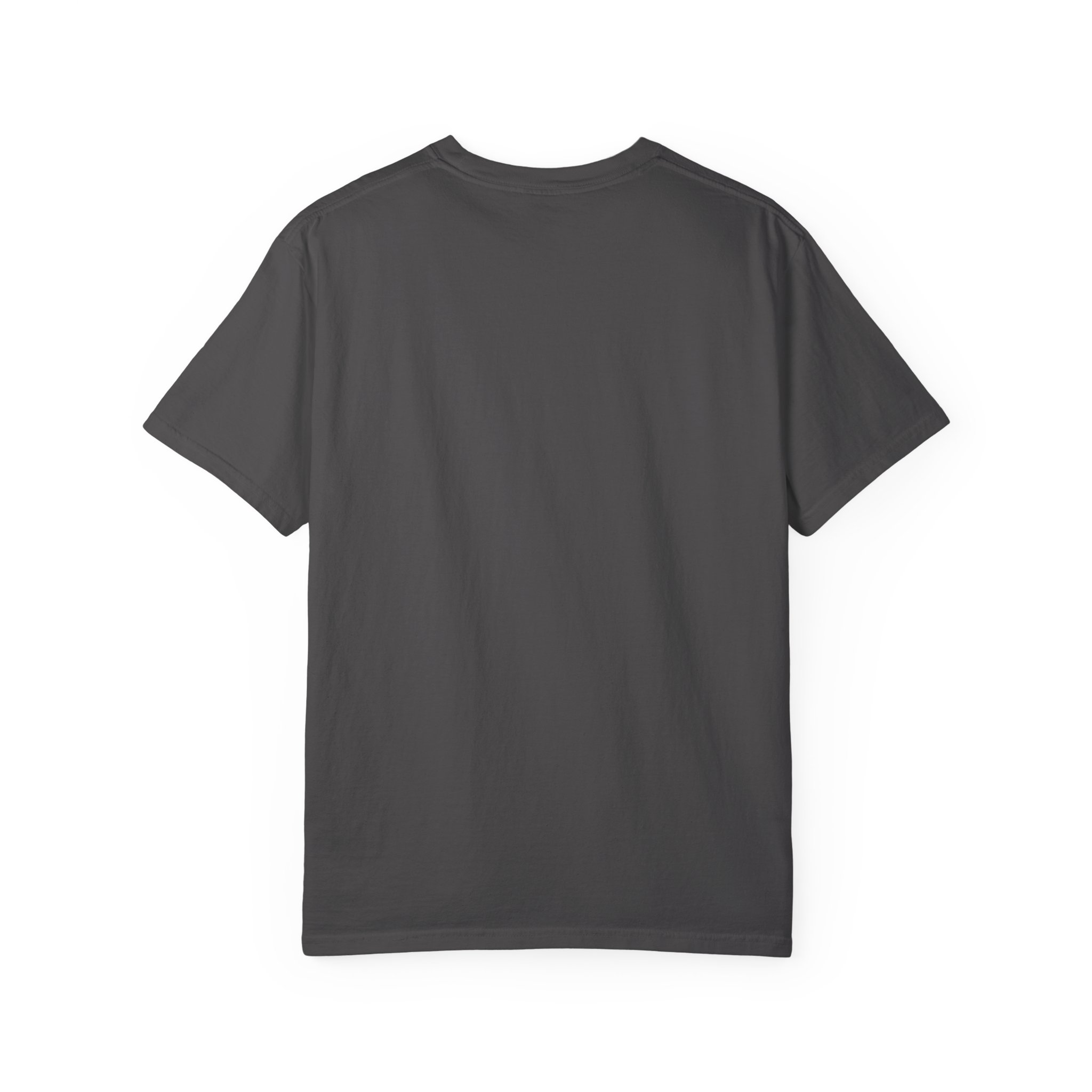 T-Shirt — "No Amount of Evidence Will Ever Persuade an Idiot" Mark Twain Quote Tee - Image 22